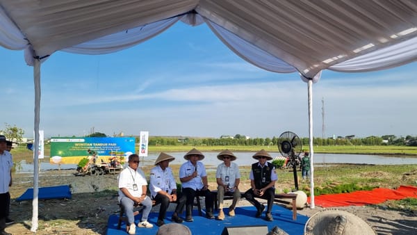 BI Sinergi Pulihkan 500 Hektar Sawah Pasca Banjir