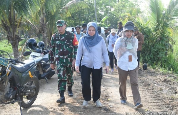 Program Ketahanan Pangan, Tim Was Dirjen PSP Kementan RI Kunjungi HST
