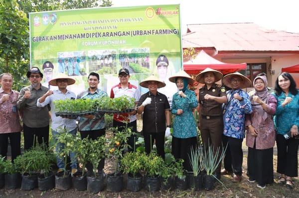 Kuponwah Kompak Tanam Cabai,Kunci Kendalikan Inflasi