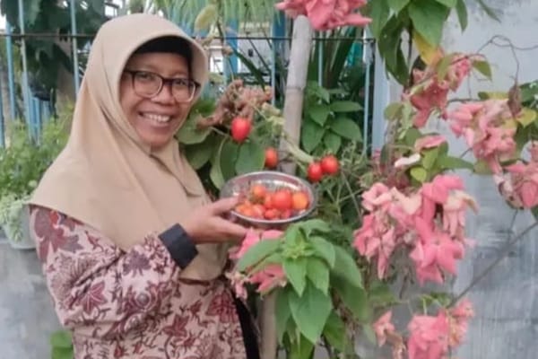 Inovasi Diperlukan Saat Over Produksi Akibatkan Harga Anjlok