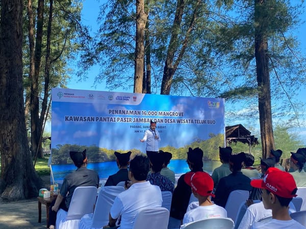 16 Ribu Bibit Mangrove Ditanam, Bentengi Pesisir Padang dari Tsunami