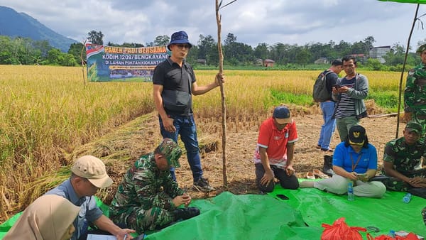 Panen 5 Hektar Padi di Bengkayang, Simbol Gotong Royong dan Ketahanan Pangan