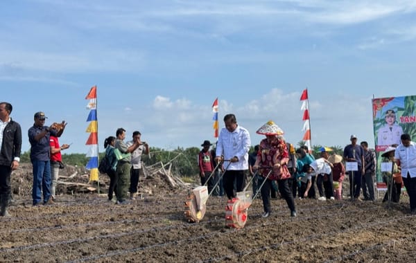 Realisasi LTT Jagung di Landak Over Target