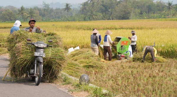 Bendungan Sermo di Kulon Progo Dukung Pemanfaatan Swasembada Pangan
