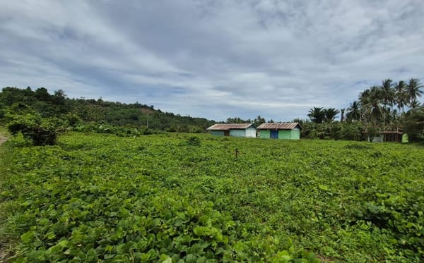 Sekolah Rakyat Tahap II di Halmahera Barat, Disiapkan  Tuntas 2026