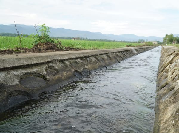Tingkatkan Produktivitas Tanam Padi Kementerian PU Rehabilitasi 2 Irigasi Halmahera Timur