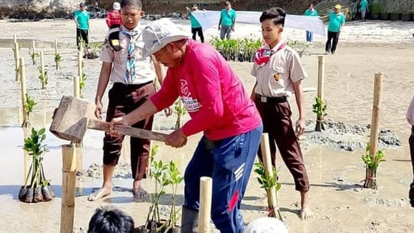 Libatkan Kelompok Masyarakat, KOSA Tanam 10.000 Mangrove di Sumenep