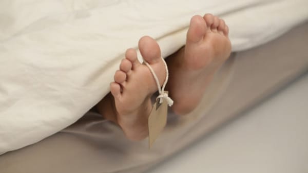 Dugaan Keracunan Jamur di Sekadau, Ibu dan Anak Meninggal Dunia