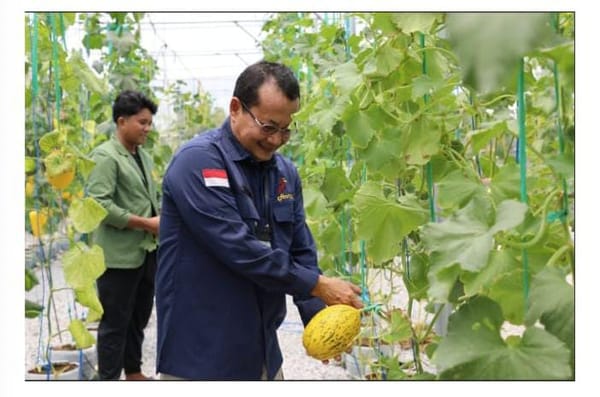 Tingkatkan Produksi Hortikultura, Dinas TPHP Kalteng Gandeng UPN Yogyakarta Terapkan Smart Farming.