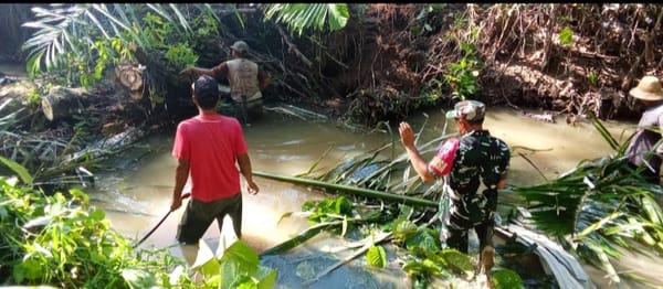 Babinsa Serka Irwan Yuliadi Bersama Warga Evakuasi Pohon Tumbang di Sungai Labuan Amas Selatan