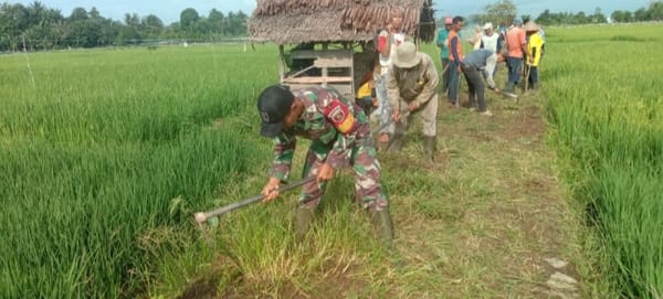 Babinsa Sertu Edy Karyani Pimpin Kerja Bakti Pembersihan JUT Desa Sumanggi Seberang