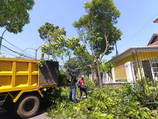 DPUPR Batu Sabet Ranting Penghalang Jalan, Ribuan Peziarah Flosh Carmeli Kini Bebas Hambatan