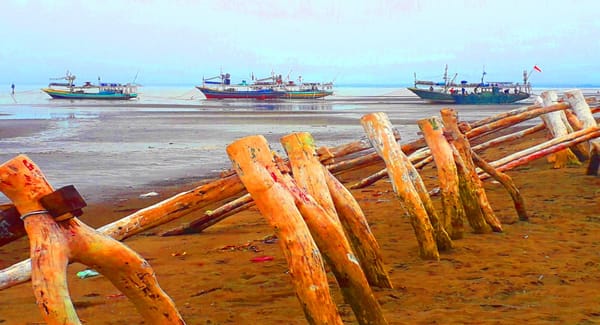 Potensi Besar Wisata Pantai Dubibir, Didukung Keberadaan Jembatan Dan Hutan Mangrove