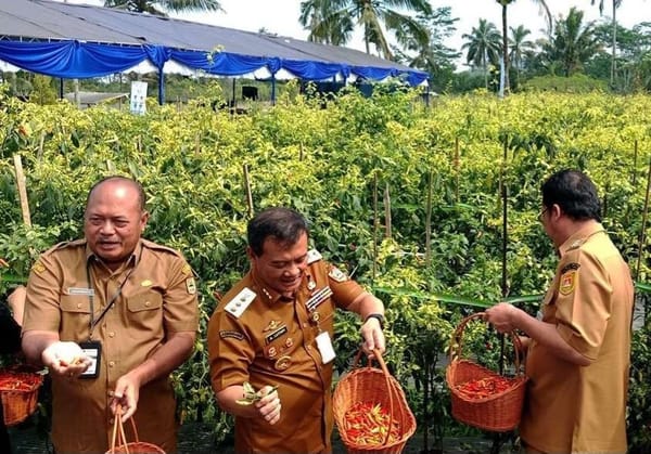 Gubernur Jateng Ahmad Luthfi Apresiasi Petani Cabai