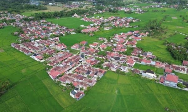 Pengamat Pertanian: Diversifikasi Pangan Jawaban atas Maraknya Alih Fungsi Lahan