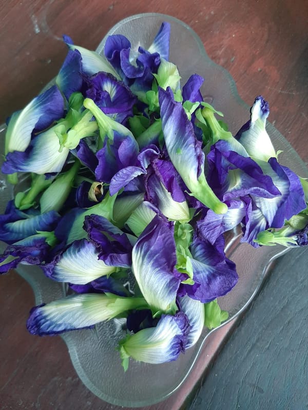 Si Warna Biru, Untuk Kesehatan Otak