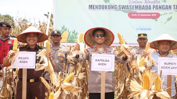 Kapolda Aceh Panen 24,5 Ton Jagung pada Kuartal III di Aceh Jaya