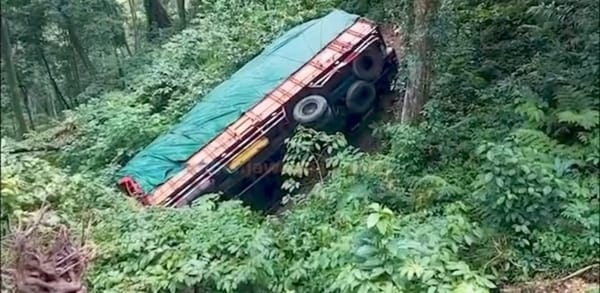 Evakuasi Truk Terjun ke Jurang Jalur Jember - Banyuwangi Ditutup Total Sementara