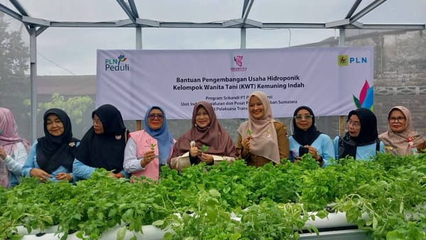 Srikandi PLN Hadirkan Green House Hidroponik, Dongkrak Lahirnya Kelompok Dasawisma di Padang