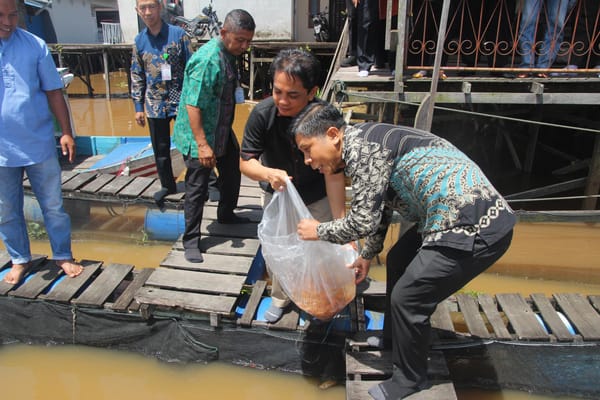 Pemerintah kota Pontianak dorong sektor perikanan budidaya untuk kesejahtraan masyarakat