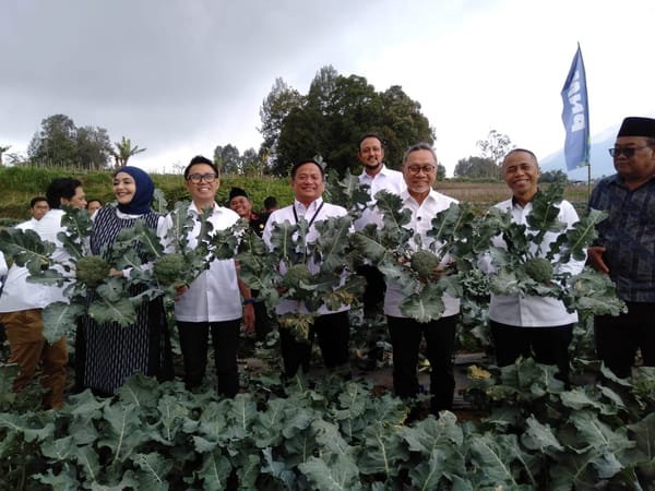 Menko Zulkifli dan PNM Perkuat Ekonomi Petani Lereng Merbabu Dukung Ketahanan Pangan dan Program Makan Bergizi Nasional
