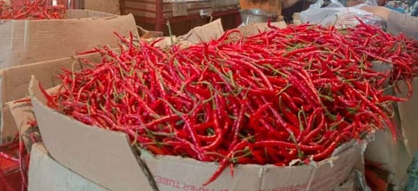 Inflasi Sumbar Tembus 4,22 Persen, Cabai Merah Penyebab Terbesar