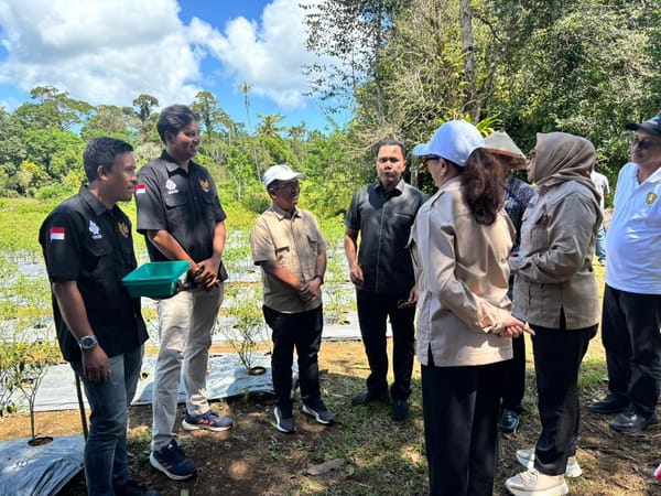 Panen Raya Cabai Maluku Youth Creative Hub, Langkah Awal Lawan Inflasi