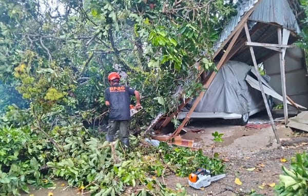 Seorang Warga Tertimpa Pohon Saat Cuaca Ekstrem di Padang