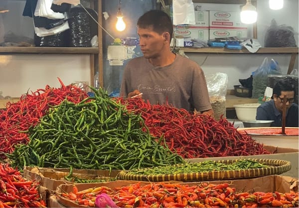 Produksi Pulih, Harga Cabai di Padang Berangsur Normal