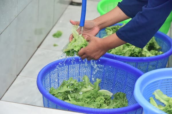 Produk Baru dari Limba MBG, Hasil Inovasi Pemuda Lumajang
