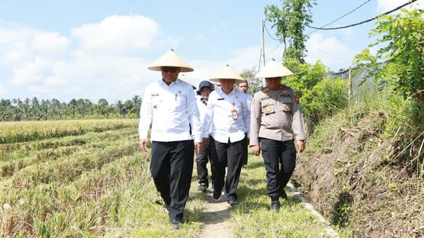 Panen Demplot Padi di Banyuwangi Mampu Hasilkan 8 ton/hektare