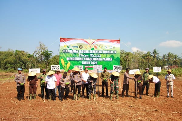 Dukung Swasembada Pangan 2025, Forpimda Sumenep Tanam Jagung Serentak Kuartal IV