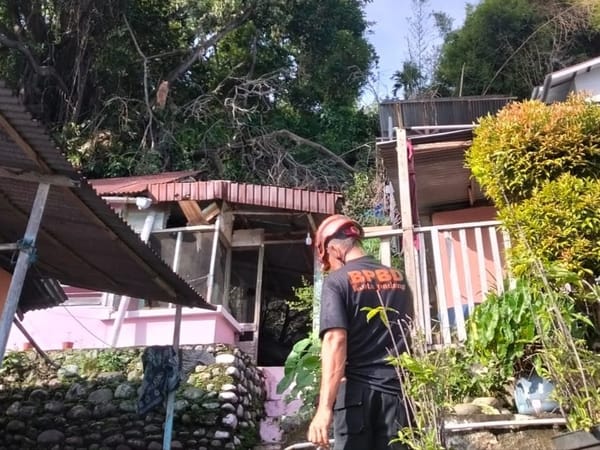 Badai Terjang Padang Selatan, Beringin Tumbang Hantam Rumah Warga