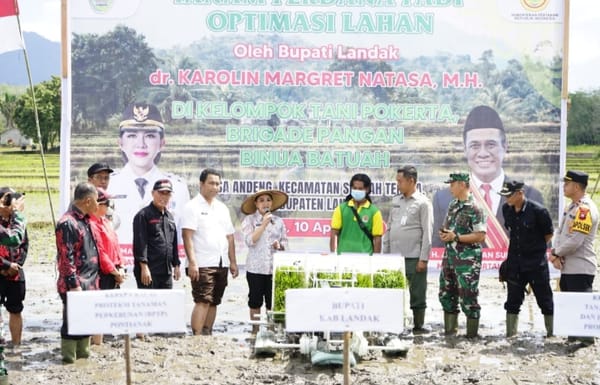 Landak Pimpin Luas Tambah Tanam Padi di Kalbar, Capai 154 Persen dari Target