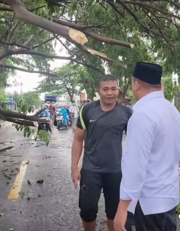 Pohon Tumbang Mengakibatkan Bupati Situbondo Terjebak Macet