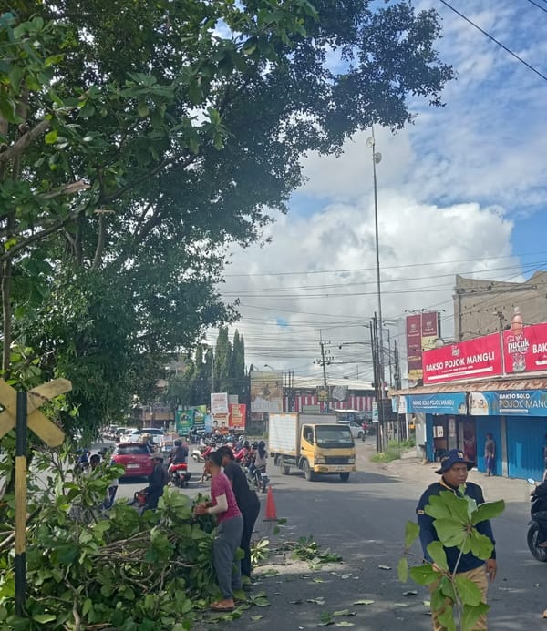 Langkah Antisipatif Bencana: BPBD Jember Rampungkan  Pemangkasan Pohon Di Jalur Utama Jember - Surabaya