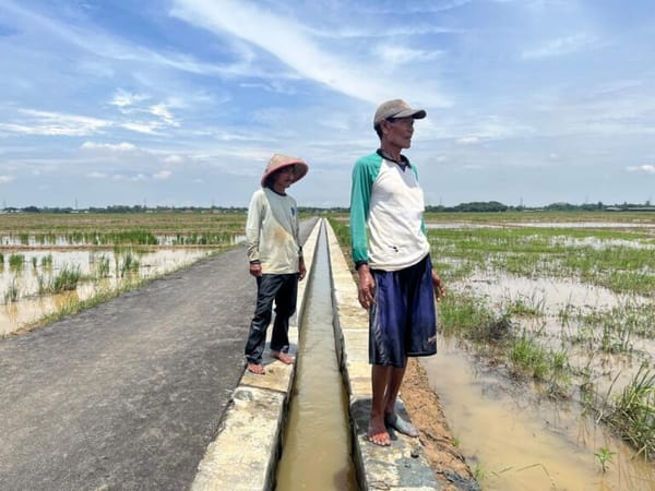 Petani Jateng Mulai Rasakan Manfaat Bantuan Jaringan Irigasi Gubernur Ahmad Luthfi