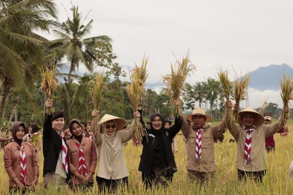 Produksi Padi Dan Jagung Banyuwangi Alami Surplus Signifikan
