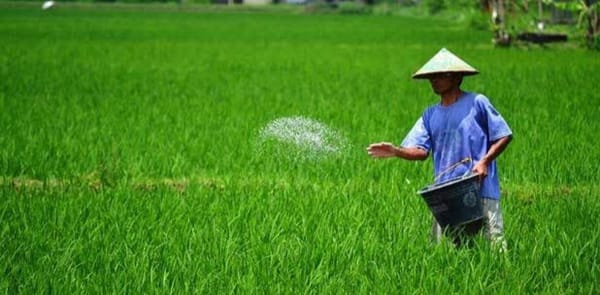 Disperta Kabupaten Madiun Sosialisasikan Penurunan Harga Pupuk Bersubsidi