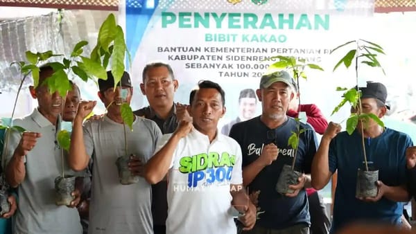 Bupati Sidrap Salurkan 70 Ribu Bibit Kakao Kepada Petani, Perkuat Sektor Perkebunan