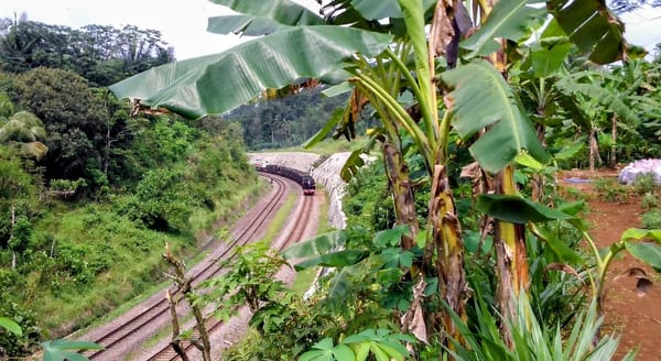 Jumlah Penumpang KA Nataru 2025/2026 Diperkirakan Naik 10 Persen KAI Daop 5 Siagakan Personil Antisipasi Bencana.