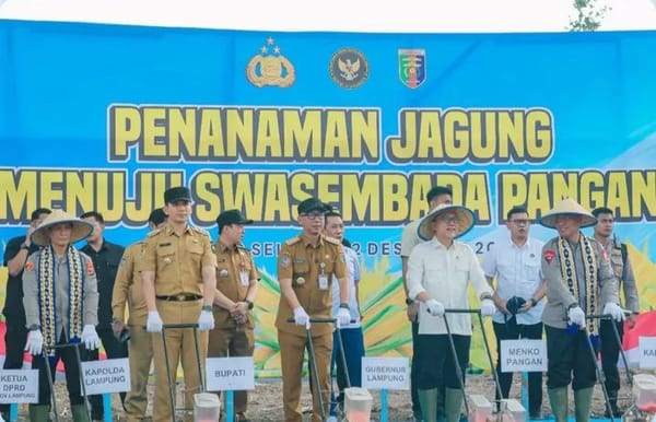Program Ketahanan Pangan : Targetkan 1,3 Juta Hektar Lahan di Lampung Ditanami Jagung
