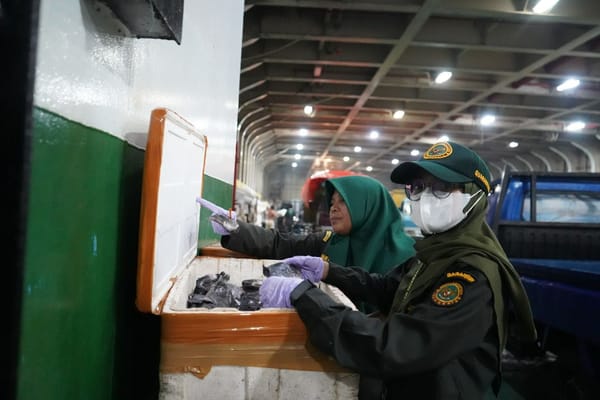 Jelang Nataru Karantina Maluku Utara Perketat Pengawasan