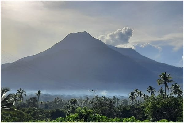 Kerja Sunyi Daim Menjaga Gunung Lemongan, Ciptakan Sabuk Hijau