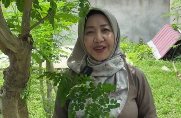 Dari Dapur Rumah ke Pasar Internasional: Kisah Ibu Syahrani Devi dan Daun Kelor Ajaib