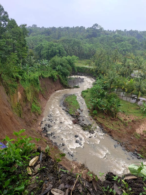 Tebing Sungai Kalijompo Longsor, BPBD Jember Bergerak Cepat Lindungi Warga Desa Klungkung