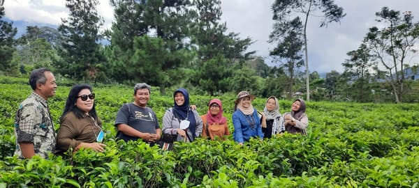 Kebun Teh Kemuning, Magnet Wisata di Musim Liburan Akhir Tahun