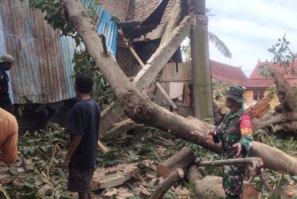 Antisipasi Berdampak, Babinsa Koramil 1425-05/Batang  Inisiatif Potong Pohon Tumbang