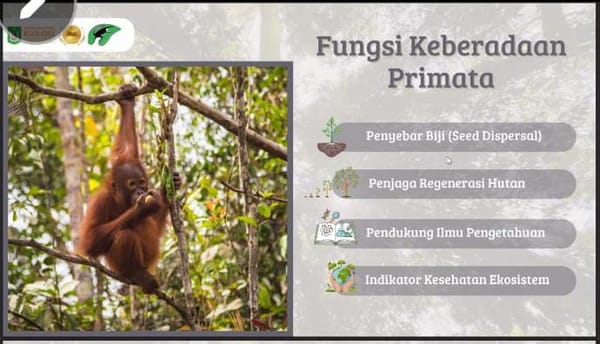 Hari Primata Indonesia, Yayorin–Unas Gaungkan Edukasi Konservasi Lewat Conservation Talk