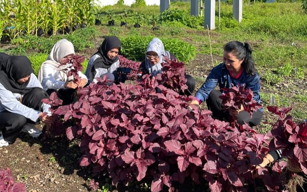 Awali Tahun 2026 ‎Lapas Perempuan Ternate Lakukan Panen Sayur